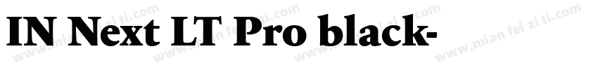 IN Next LT Pro black字体转换